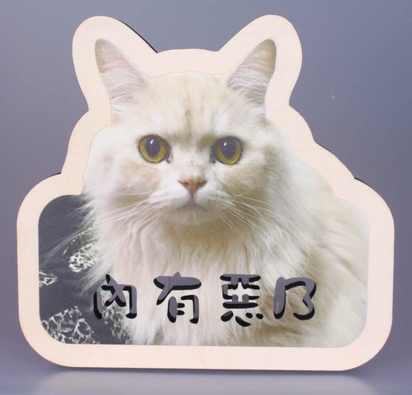 Custom Wooden Signage